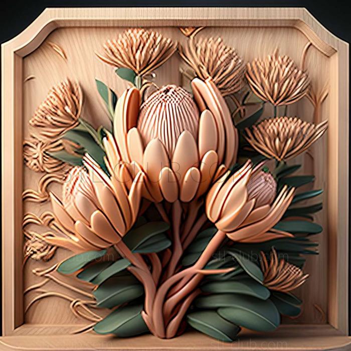 3D model Protea (STL)